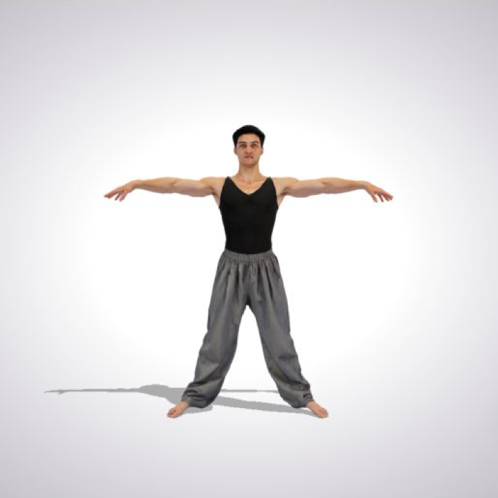 Human T-Pose thumbnail